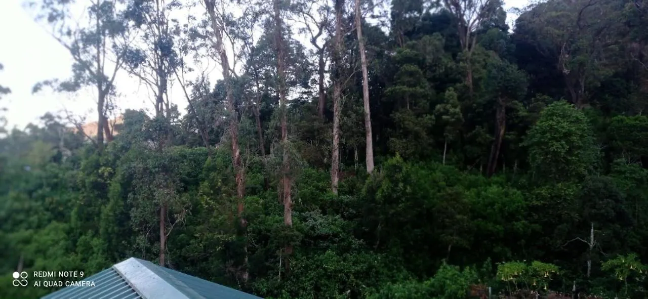 Hotel Thalagala Oya Resort & Restaurant Nuwara Eliya